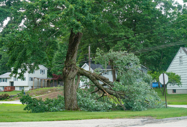 Best Seasonal Cleanup (Spring/Fall)  in Hightstown, NJ